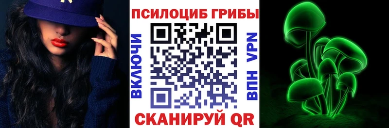 Галлюциногенные грибы Psilocybine cubensis  Дмитров 
