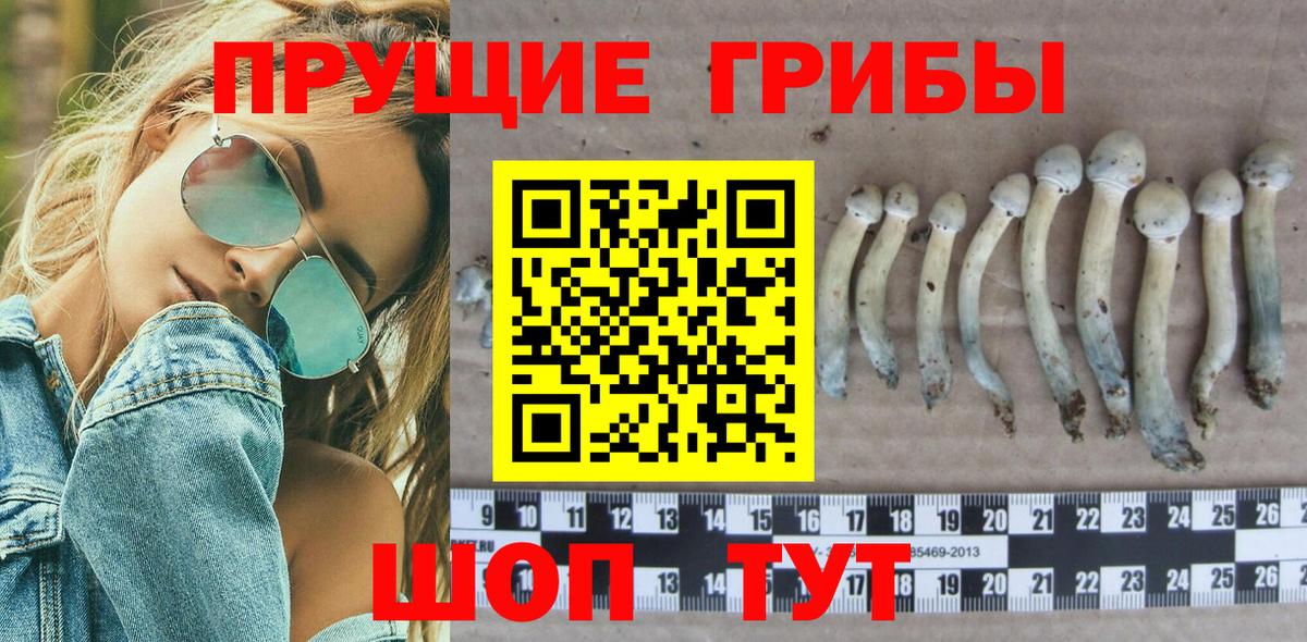 Галлюциногенные грибы GOLDEN TEACHER Дмитров