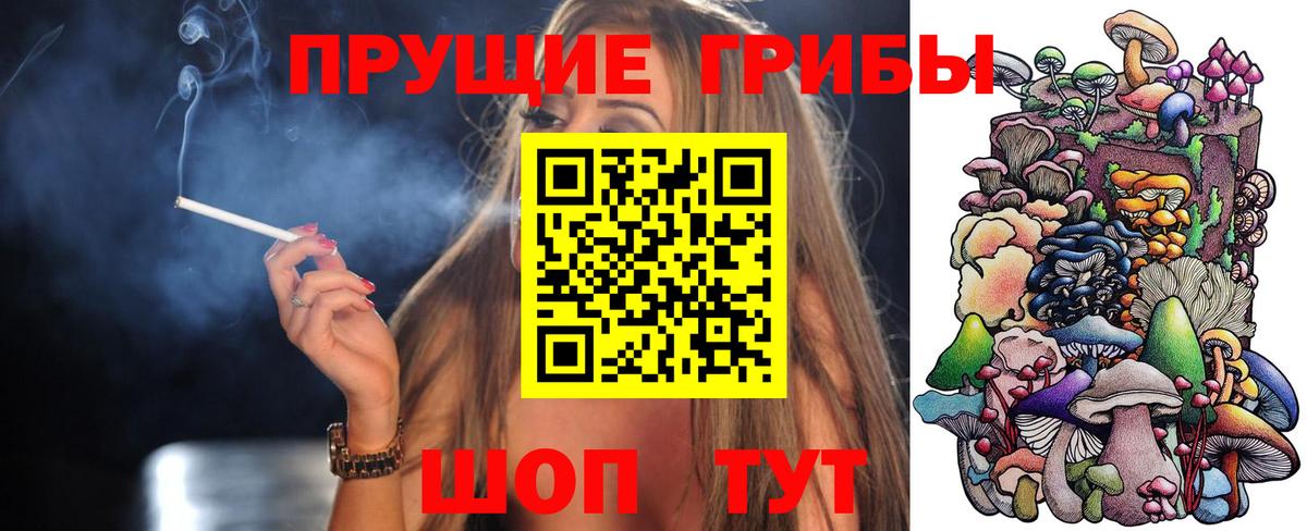 Псилоцибиновые грибы мухоморы Дмитров