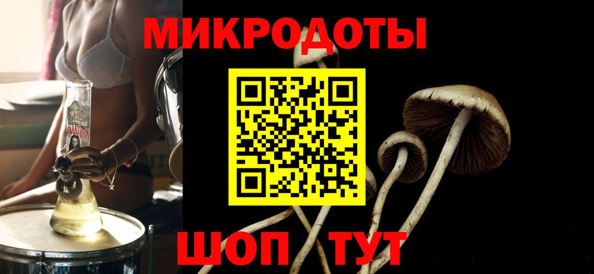 Дмитров  Галлюциногенные грибы прущие грибы  Псилоцибиновые грибы мухоморы  Вход с VPN 
