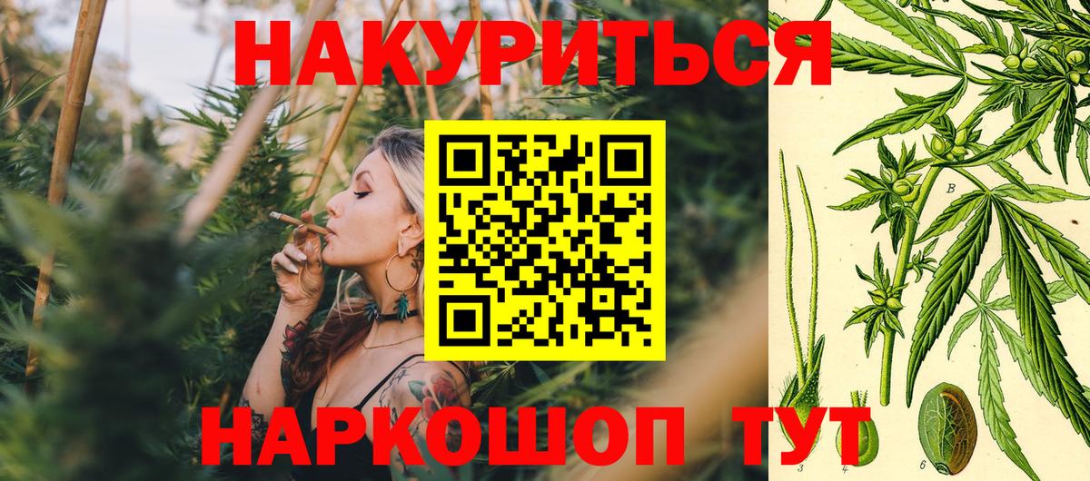 Бошки марихуана семена  Марихуана марихуана  Канабис индика  Каннабис сатива  Вход с VPN  Дмитров 